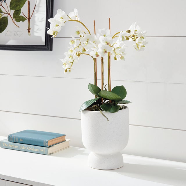 Traditional Phalaenopsis Orchid Drop-In 20" For Sale - Image 3 of 7