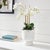 Traditional Phalaenopsis Orchid Drop-In 20" For Sale - Image 3 of 7