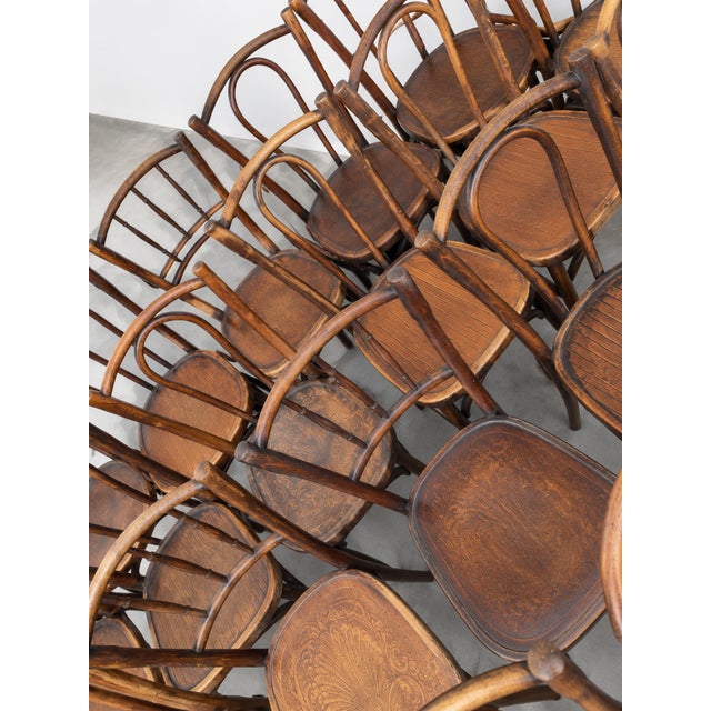 Tan French Wood Bistro Chairs in the style of Thonet, France, 1940, Set of 60 For Sale - Image 8 of 13