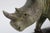 Gorgeous large-scale hand-carved verdite rhinoceros sculpture by master sculptor, James Tandi. Tandi was a classical...