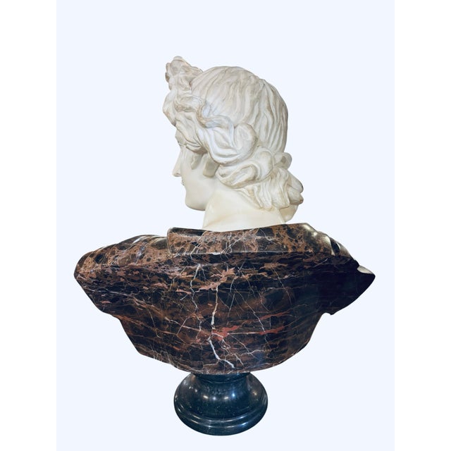 Late 20th Century Late 20th Century Monumental Apollo Belvedere Marble Bust on Veined Carrara Marble Pedestal For Sale - Image 5 of 12