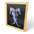 Contemporary 2010 Contemporary Seahorse Digital C-Print, Candomble Series, Edition 1/25, by Christian Gaul, Framed For Sale - Image 3 of 10