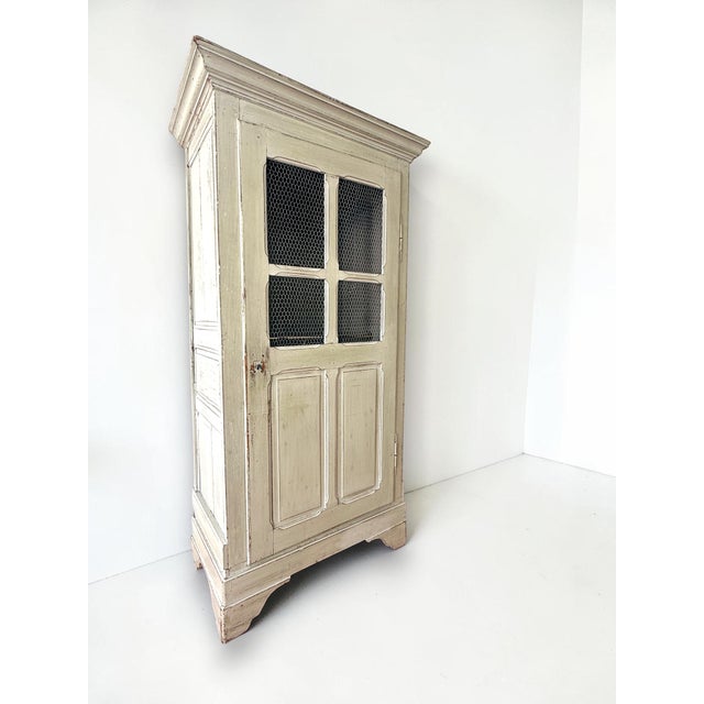 19th-Century French Provincial Painted Wire-Mesh Armoire For Sale - Image 6 of 18
