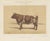 Olivier De Penne, Ayrshire Bull, Scottish Cattle, 1863, Chromolithograph For Sale - Image 9 of 9