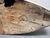 Brutalist Steamer Model Boat by Emmanuel Hiel, 1940s For Sale - Image 14 of 16