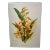Antique Botanical Print From England Showcasing a Brazilian Orchid Flower With Green Foliage -Circa 1892 For Sale