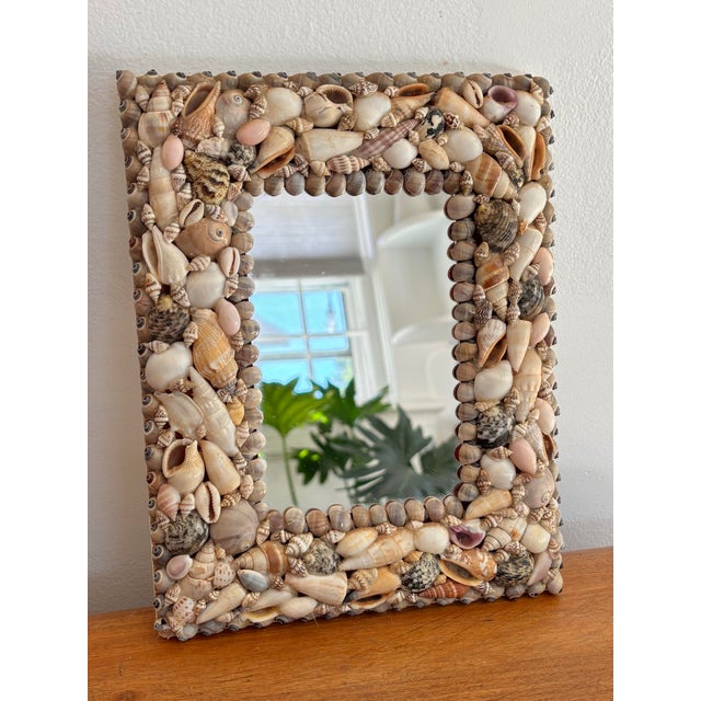 1970s Small Coastal Seashell Mirror For Sale - Image 4 of 4
