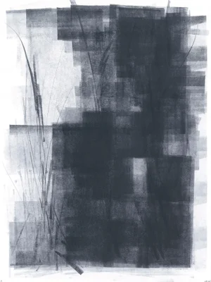 Ink on Paper_14 Original Modern Abstract Black Painting by Carrie Bergey