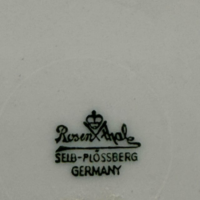 Rosenthal Vintage Rosenthal German Porcelain Pheasant Miniature Plates - A Pair For Sale - Image 4 of 5