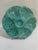 Turquoise 1940s French Gien Turquoise Majolica Oyster Plate For Sale - Image 8 of 14