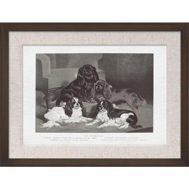 Contemporary Cassell Dogs; Toy Spaniels, Framed Artwork For Sale - Image 3 of 3