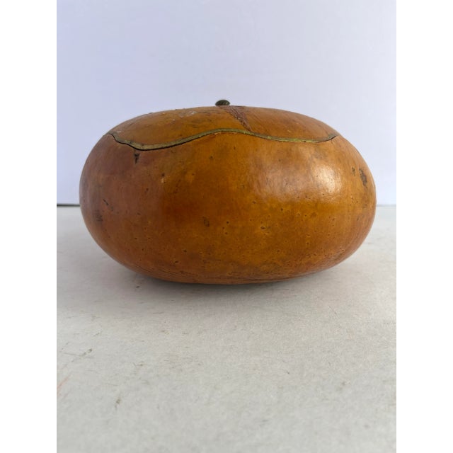 Embellished Natural Gourd Box For Sale - Image 4 of 10