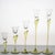 Glass Studio Line Papyrus Candleholders by Michael Boehm for Rosenthal, 1970s, Set of 5 For Sale - Image 7 of 15