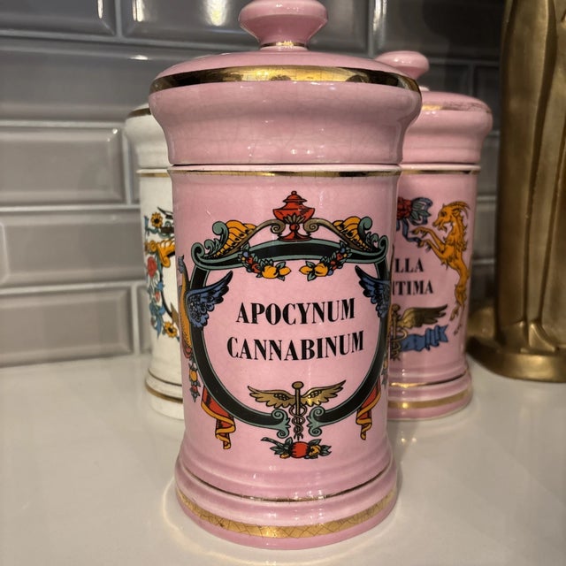 French Provincial Antique 19th Century Parisian Pharmacy Latin Apothecary Ceramic Jar Set 3 For Sale - Image 3 of 12