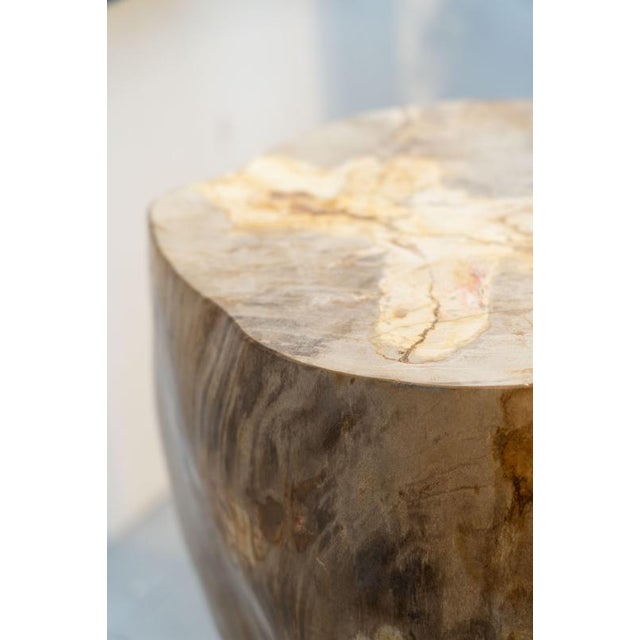 Petrified Wood Side Table, 1970s For Sale - Image 5 of 9