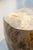 Petrified Wood Side Table, 1970s For Sale - Image 5 of 9