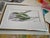 Framed 1990s Original Watercolor Small Painting “Eucalyptus Sprig” For Sale - Image 4 of 6