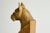 Wood Boxer Sculpture in Carved Wood, 1950s For Sale - Image 7 of 13