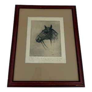 American Horse Etching by Ellsworth Woodward