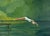 "Lake Dive" Original Oil Painting, by Jennifer Hohlfelder For Sale