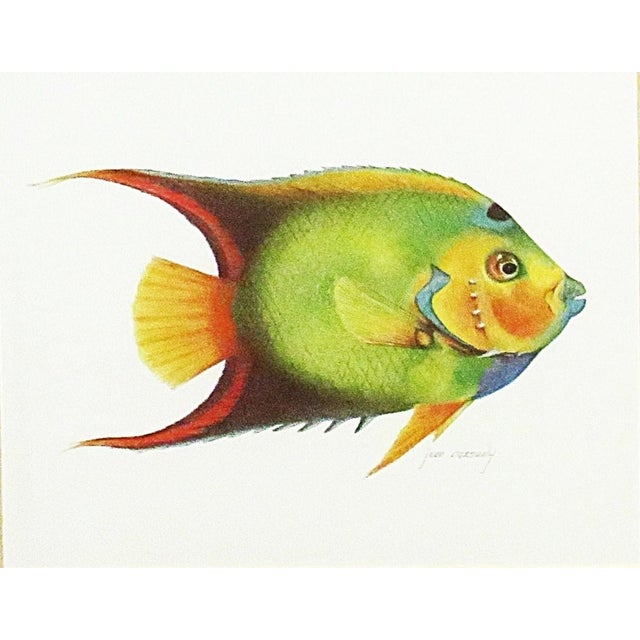 FREE SHIPPING ANYWHERE IN THE CONTINENTAL US! This is a set of gorgeous vintage lithographs depicting two colorful fish....