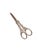 Danish Art Nouveau Grapes Scissors, 1920s For Sale - Image 6 of 7