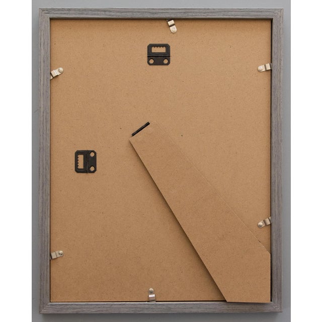 Custom Framed British Seaweed Giclée Prints - Set of Four For Sale - Image 13 of 13