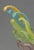 Glass Murano Art Glass Pheasant Sculpture For Sale - Image 7 of 9