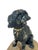 English Antique French Lead Painted Black Spaniel Dog Seated on a Rock For Sale - Image 3 of 12