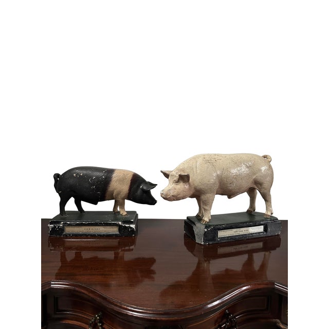 Sculpture Materials Vintage Painted Plaster Pig Models, Ministry of Agriculture, 1920s-1940s, Set of 2 For Sale - Image 7 of 7