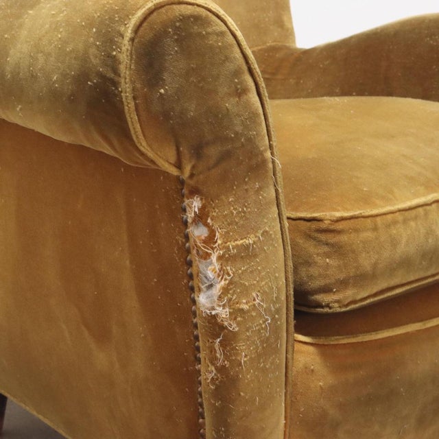 Set of Vintage Bergère Armchairs in Velvet, 1950s For Sale - Image 6 of 9