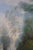 Blue L. Stephano Impressionist Cattle Along Forest Path Landscape Oil Painting 51" For Sale - Image 8 of 12