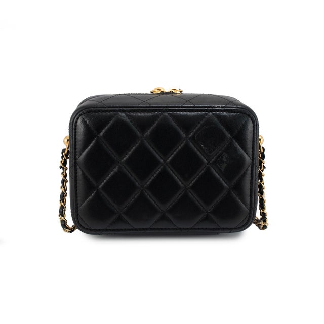 Animal Skin Chanel CC Metal Plate Vanity Case Lambskin Gold-Tone Hardware Shoulder Bag For Sale - Image 7 of 13