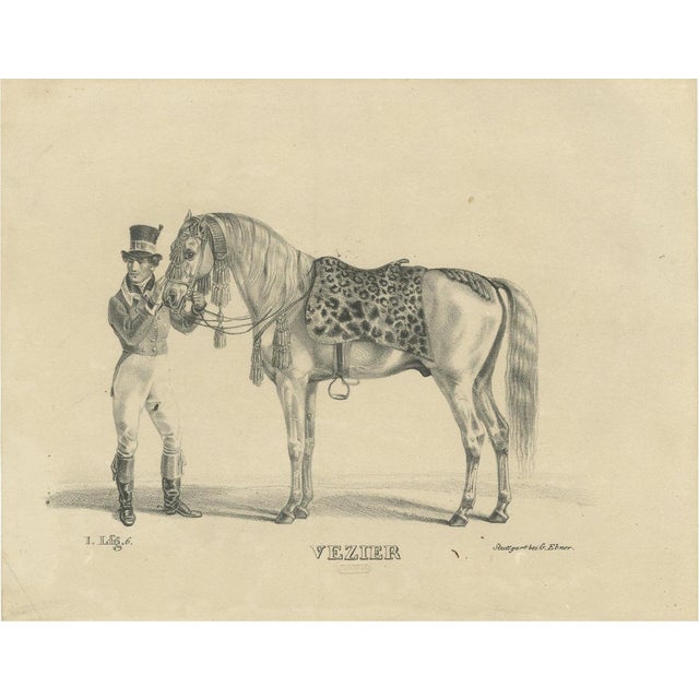 G. Ebner, Arabian Horse Vezier with Groom, Stuttgart 1846, Paper Lithograph For Sale - Image 9 of 9