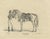 G. Ebner, Arabian Horse Vezier with Groom, Stuttgart 1846, Paper Lithograph For Sale - Image 9 of 9