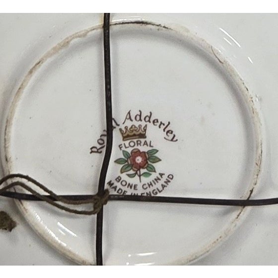 Illustrated Game Bird Plates - Set of Six For Sale - Image 4 of 16