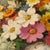 Maurice Alfred Decamps, Still Life with Spring Flowers, 20th Century, Oil on Canvas For Sale - Image 7 of 11