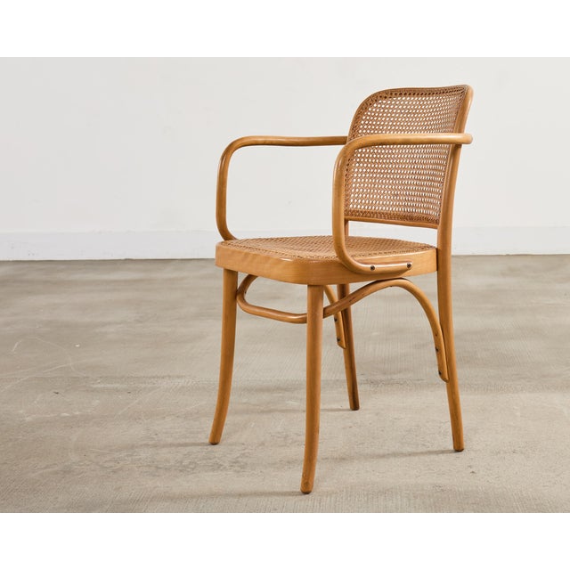 Set of Four Thonet Prague Bentwood Armchairs by Josef Hoffman For Sale - Image 9 of 18
