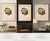 Camellia Sophia De Vriese, Botanical Lithograph, 1856, Lithograph on Paper For Sale - Image 3 of 9