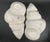 Large Divided Serving Dish in the Shape of Conch Shell - Set of 2 For Sale - Image 4 of 9