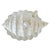 1970s 1970s Italian White Porcelain Conch Shell Tureen Set With Underplate & Ladle - 4 Pieces For Sale - Image 5 of 10