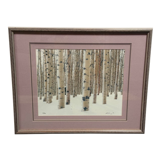 Circa 1997 Aaron Goldenberg Framed "Winter Aspens" Art Photograph, Signed + Limited Edition 266 of 900 For Sale
