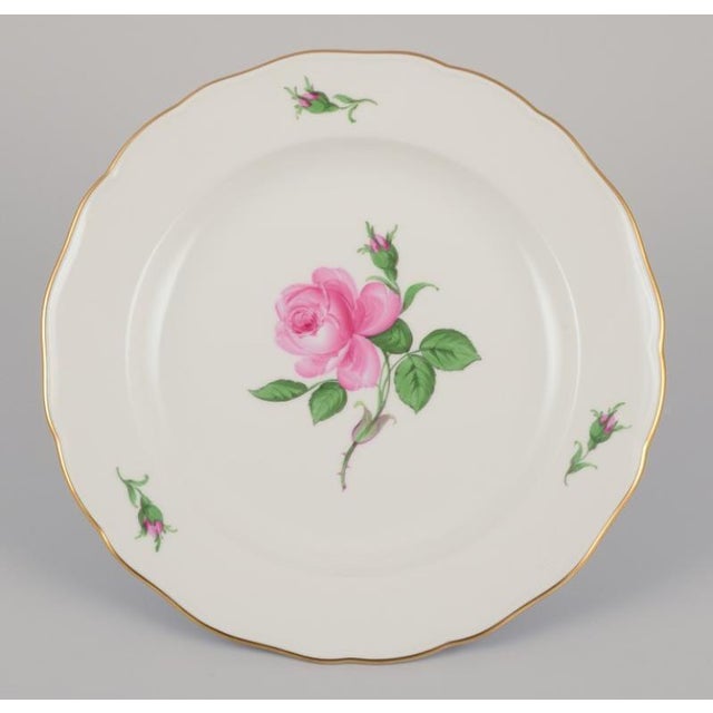 Meissen, Germany. Four dinner plates with a motif of a pink rose. Gold rim. Approximately 1920/30s. In perfect condition....