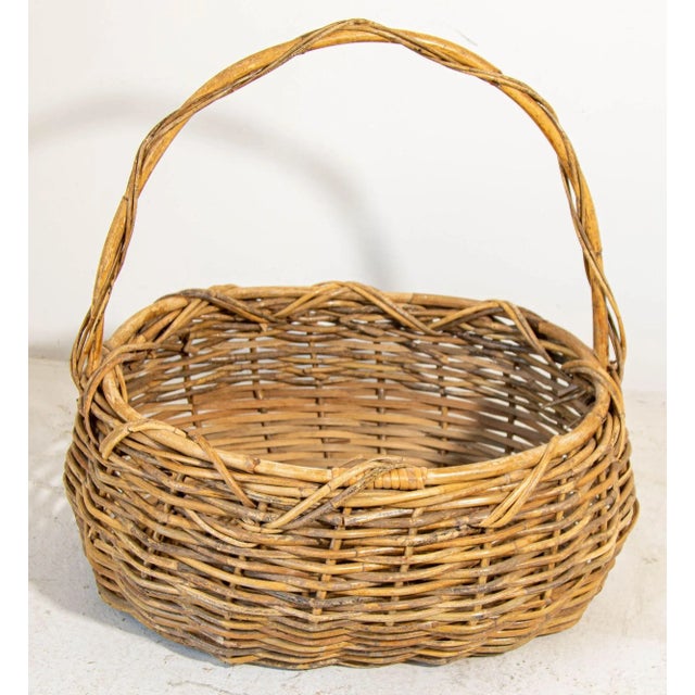 Large Antique French Provincial Grape Harvest Wicker Basket With Single Handle For Sale - Image 10 of 13