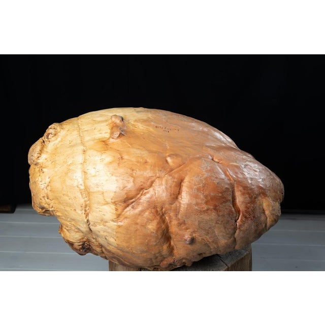 Wood Large Swedish Wood Bowl, 1978 For Sale - Image 7 of 9