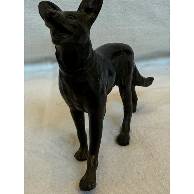 He's got big bat ears and a happy face. It makes me smile!