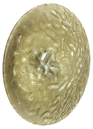 Modernist Glass & Metal Wall Light from Doria Lights, Germany, 1970s