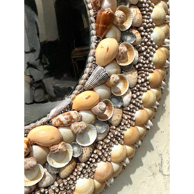 Vintage Monumental Shell Encrusted Round Mirror For Sale - Image 11 of 12