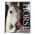 Ultimate Horse Coffee Table Hardcover Book 2002 For Sale