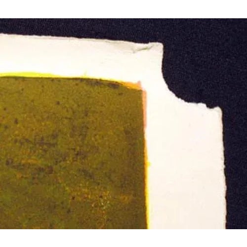 1960s 1967 "Nature Prays Without Words" Abstract Lithograph by Lebadang For Sale - Image 5 of 5